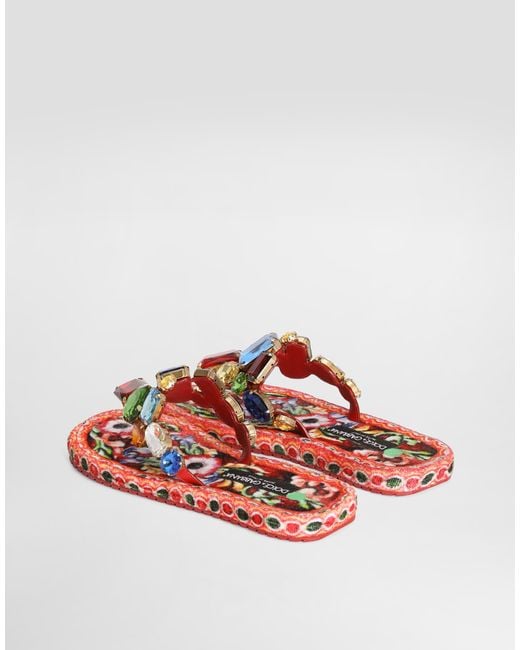 Dolce & Gabbana Multicolor Sandalo