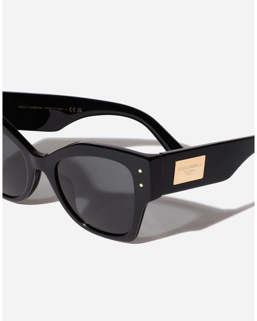 Lunettes De Soleil Dg Logo Plaque Dolce & Gabbana en coloris Black