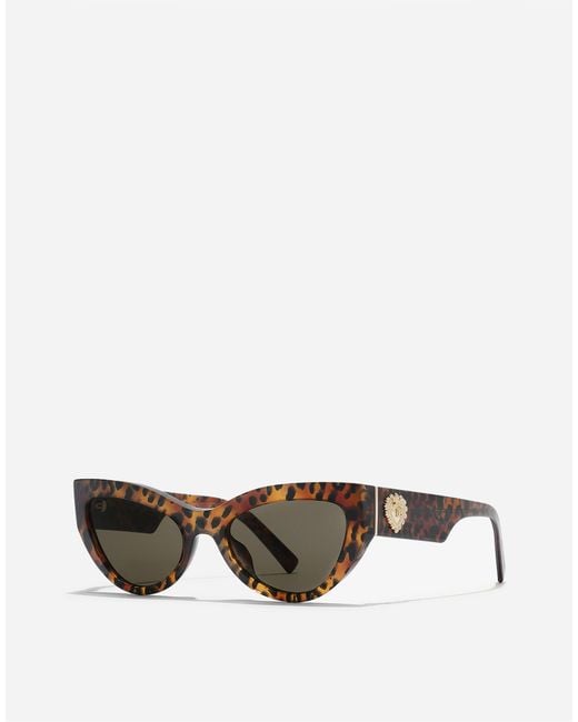 Dolce & Gabbana Multicolor Devotion Sunglasses