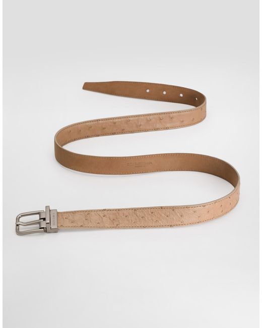Dolce & Gabbana White Ostrich Leather Belt for men