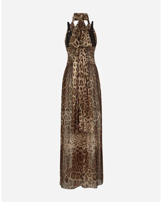 Dolce & Gabbana Natural Abito