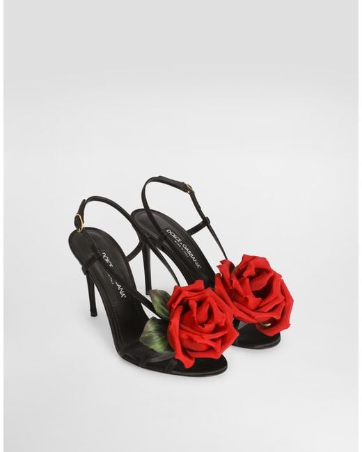 Sandalo Dolce & Gabbana en coloris Multicolor