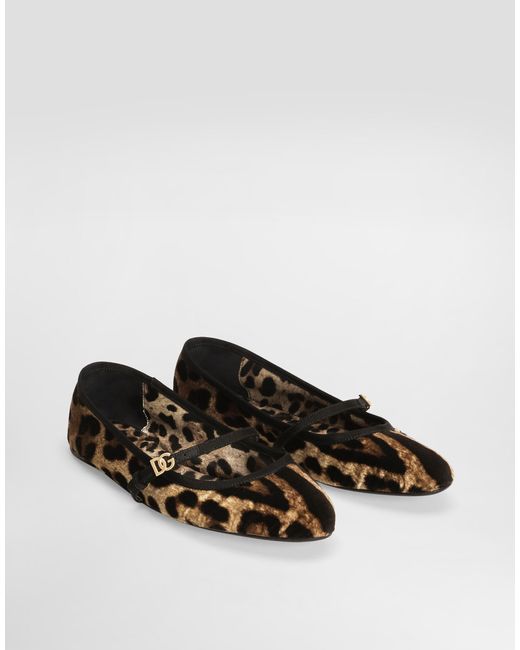 Dolce & Gabbana Brown Velvet Ballerinas With Animal Motif