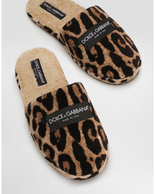Dolce & Gabbana Brown Leo-Print Dg Hotel Terry Slippers for men