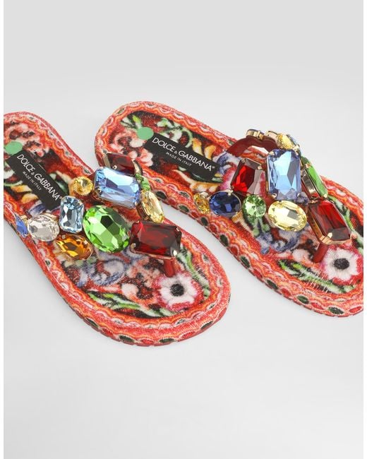 Dolce & Gabbana Multicolor Sandalo