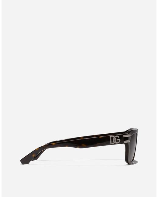 Dolce & Gabbana Brown Dg Griffe Sunglasses for men
