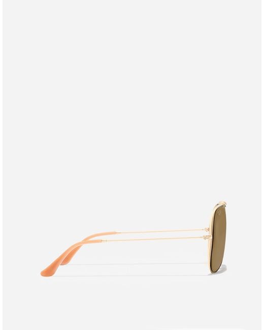 Dolce & Gabbana Natural Sunglasses -202601