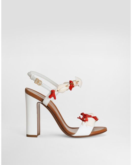 Dolce & Gabbana コーラルエンブロイダリー ナッパレザー サンダル White