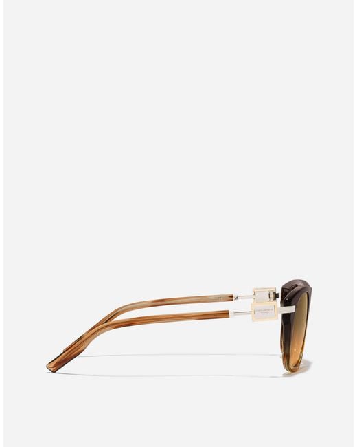 Dolce & Gabbana Multicolor Metal Plaque Sunglasses