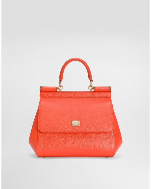 Dolce & Gabbana Red Borsa A Mano