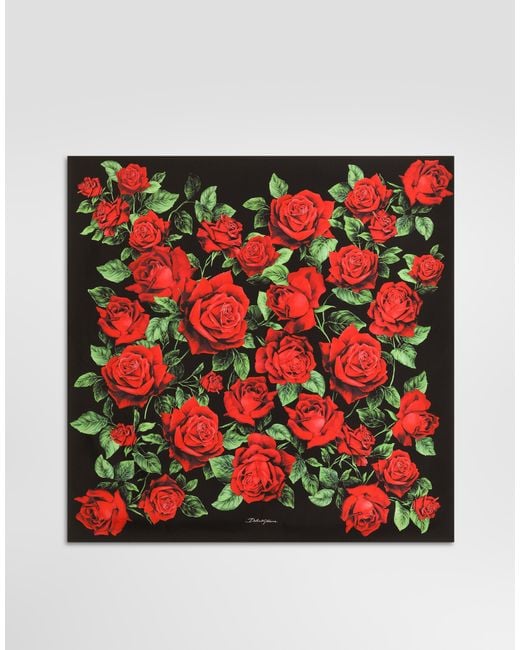 Foulard 90X90 En Twill De Soie À Imprimé Roses Dolce & Gabbana en coloris Red