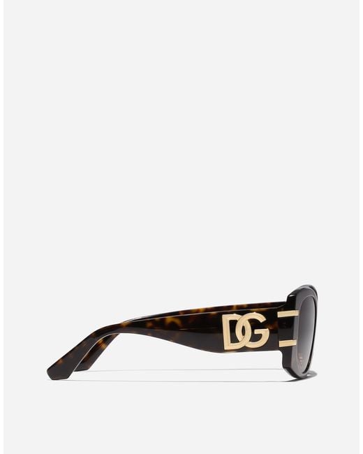 Dolce & Gabbana Brown Dg Griffe Sunglasses