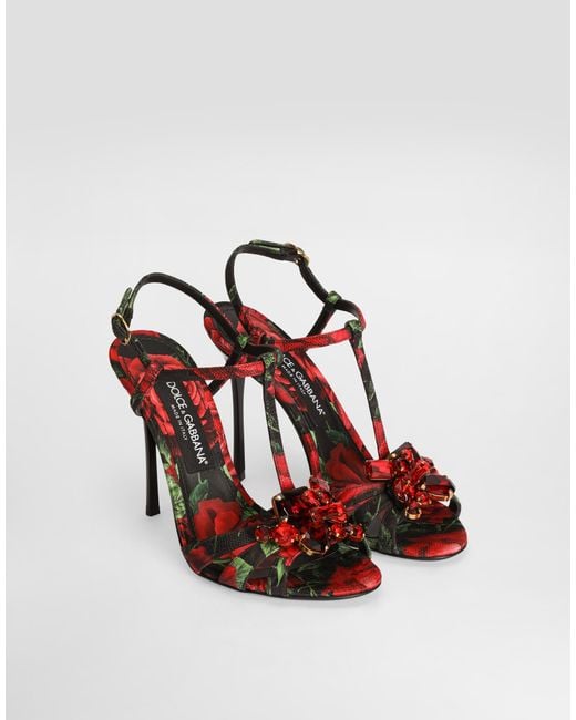 Dolce & Gabbana Multicolor Sandalo