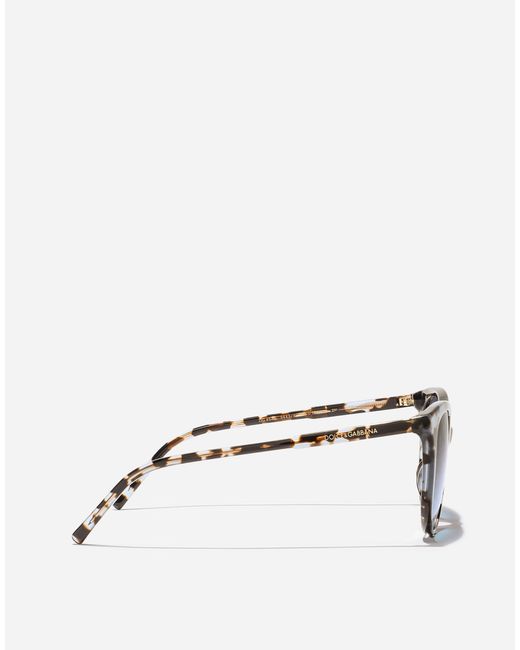 Dolce & Gabbana Blue Everyday Sunglasses