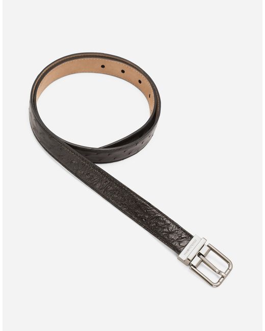 Dolce & Gabbana Black Ostrich Leather Belt for men