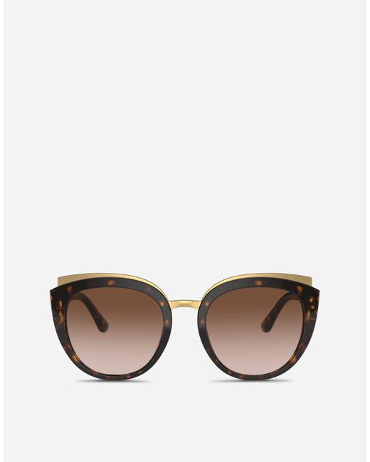 Print Family Sunglasses di Dolce & Gabbana in Brown