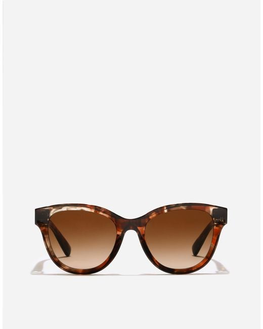 Dolce & Gabbana Brown Dg Hinge Sunglasses