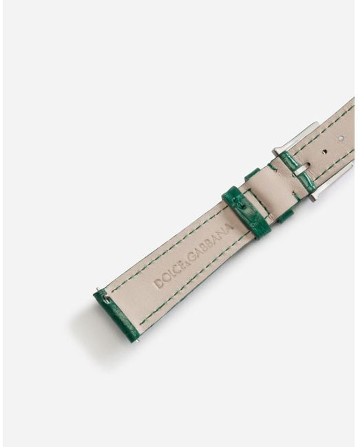 Alligator Strap With Buckle And Hook Dolce & Gabbana en coloris Green