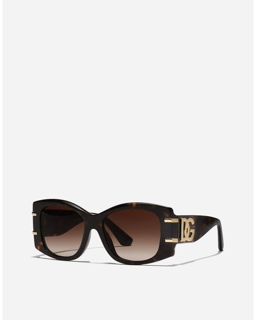 Dolce & Gabbana Brown Dg Griffe Sunglasses