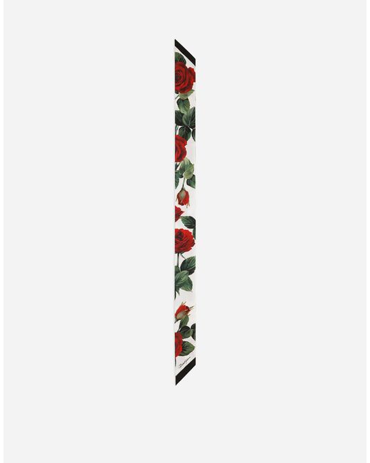 Dolce & Gabbana White Bandeau Aus Twill Dg-Jacquardlogo Mit Rosenprint 6 X 100