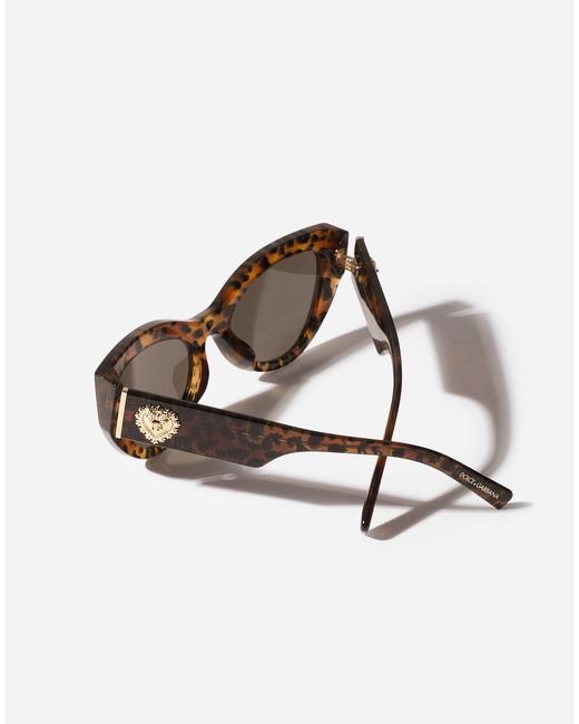 Dolce & Gabbana Multicolor Devotion Sunglasses