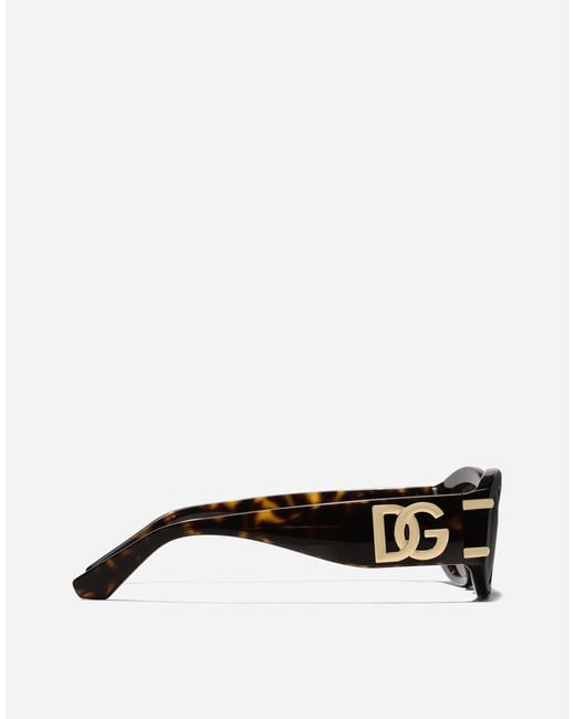 Dolce & Gabbana Brown Dg Griffe Sunglasses