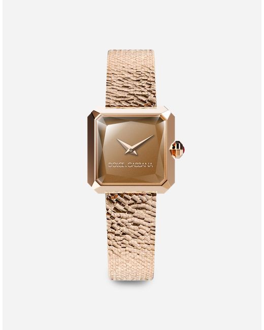 Dolce & Gabbana White Sofia Watch