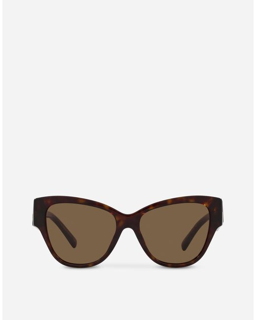 Dolce & Gabbana 「Dgロゴ」 サングラス Brown