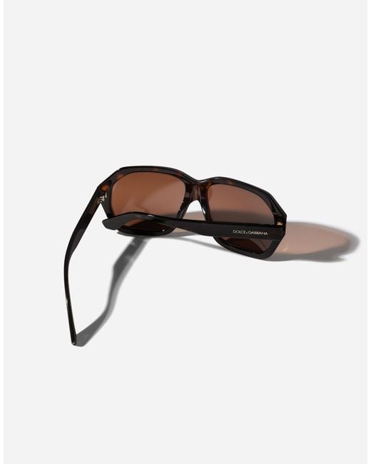 Dolce & Gabbana Brown M's Fashion Showsunglasses for men