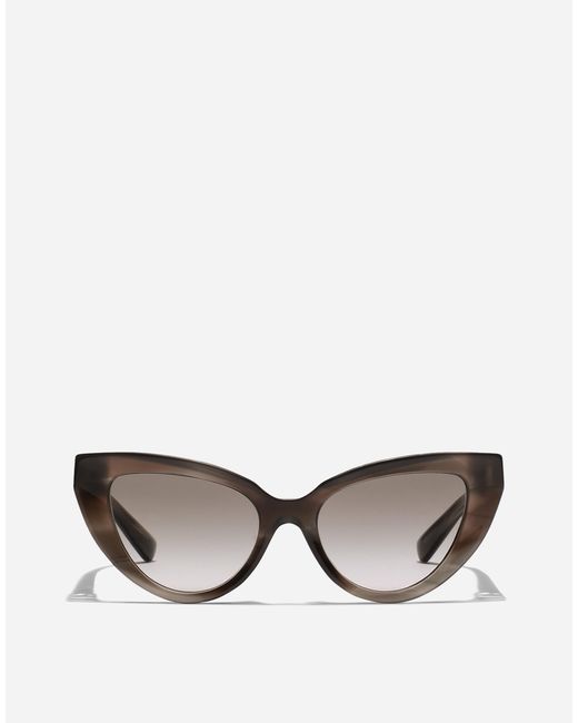 Dolce & Gabbana Dg Hinge Sunglasses Multicolor