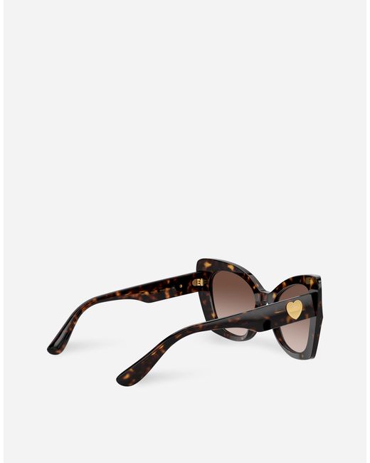 Dolce & Gabbana Brown Dg Devotion Sunglasses