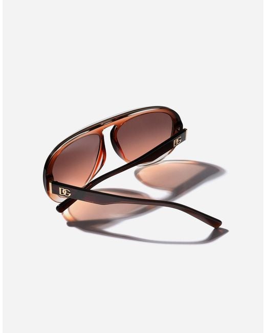 Dolce & Gabbana Brown Maiolica Arancione Sunglasses