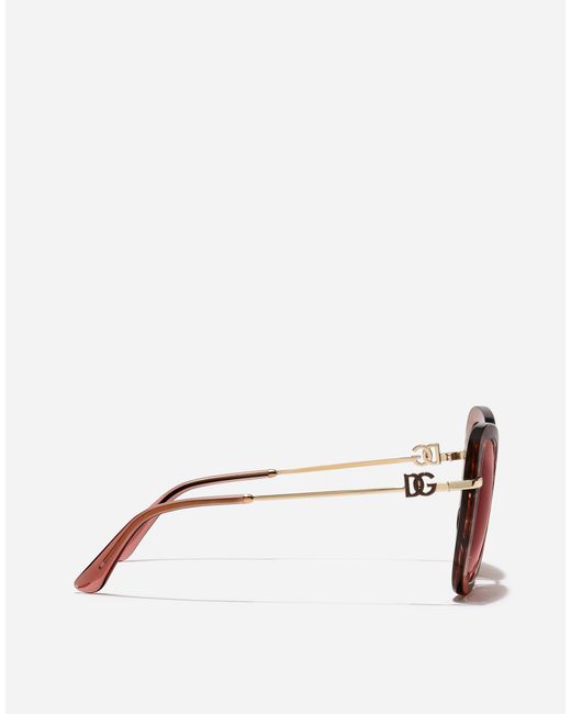 Dolce & Gabbana Pink Dg Glow Sunglasses