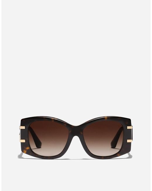 Dolce & Gabbana Brown Dg Griffe Sunglasses