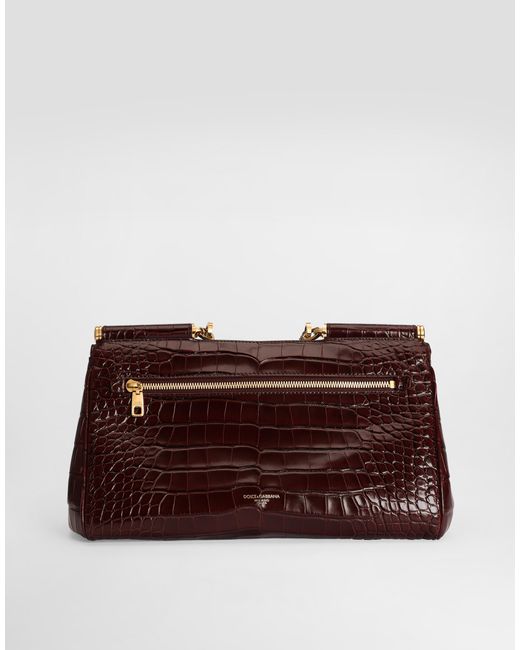 Dolce & Gabbana Brown Borsa A Mano