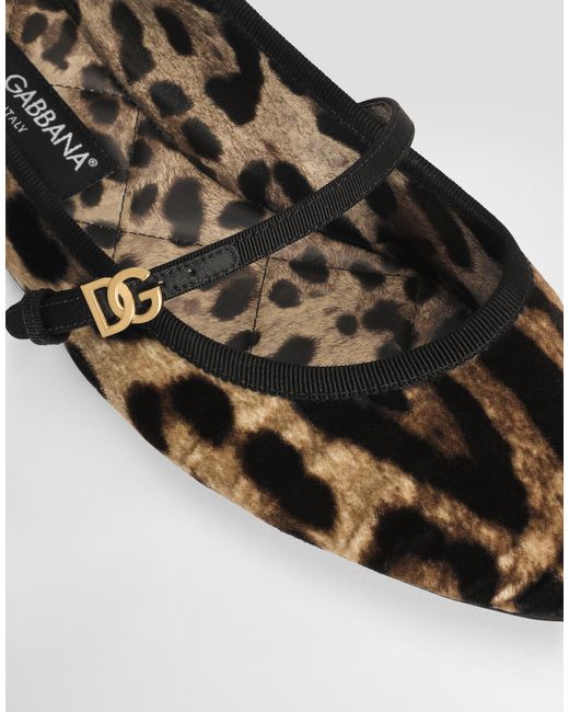 Dolce & Gabbana Brown Velvet Ballerinas With Animal Motif