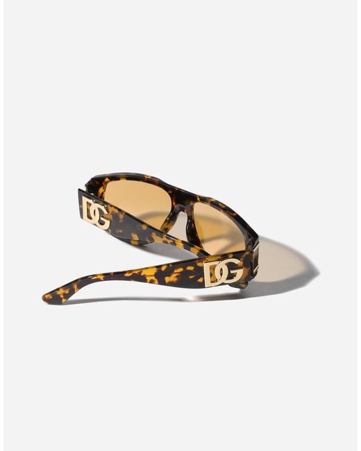 Dolce & Gabbana Natural Dg Griffe Sunglasses