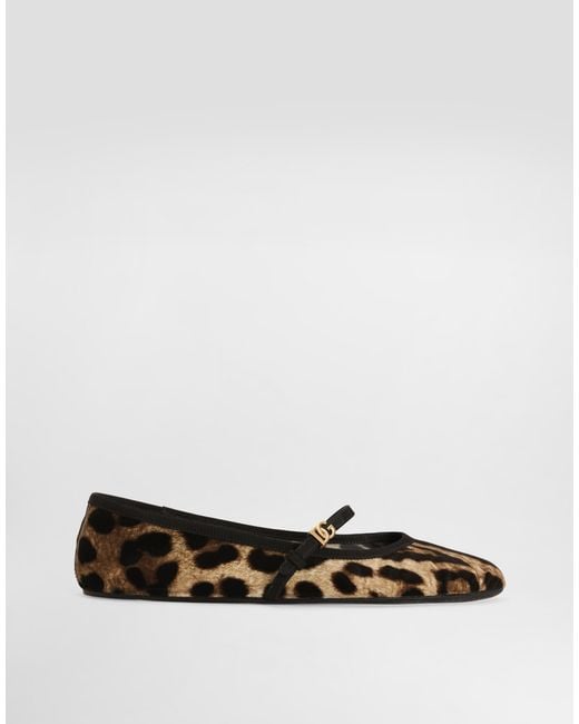 Dolce & Gabbana Brown Velvet Ballerinas With Animal Motif