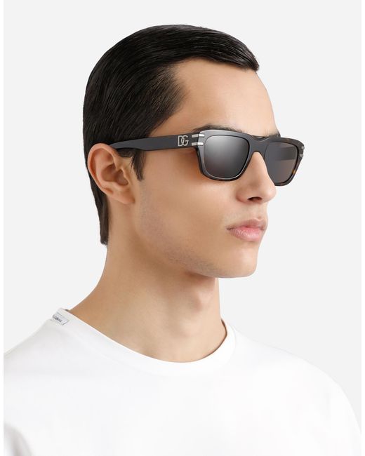 Dolce & Gabbana Brown Dg Griffe Sunglasses for men