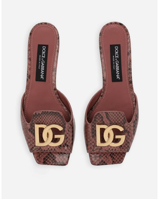 Dolce & Gabbana Brown Pantolette Aus Pythonleder