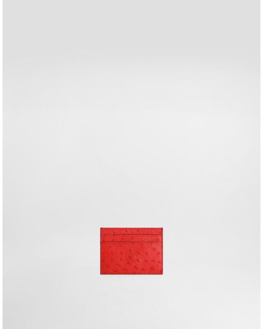 Dolce & Gabbana White Polished Ostrich Leather Card Holder