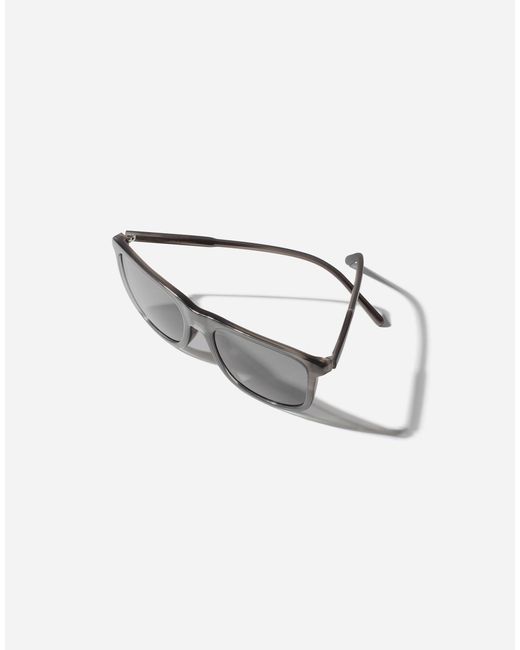 Dolce & Gabbana Gray Everyday Sunglasses