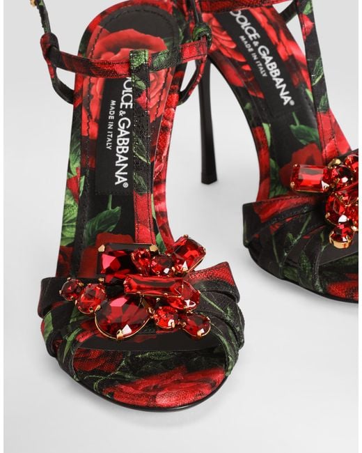 Dolce & Gabbana Multicolor Sandalo