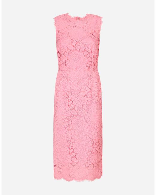 Dolce & Gabbana Pink Branded Stretch Lace Calf-Length Dress