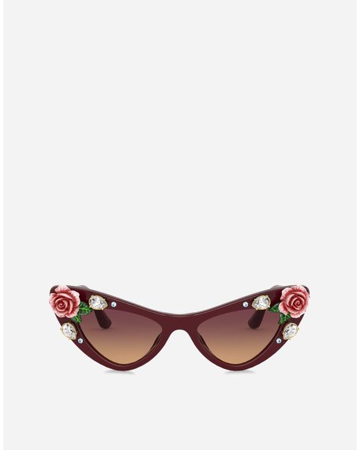 Dolce & Gabbana Multicolor Blooming Sunglasses