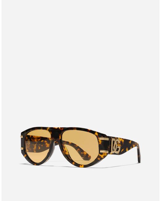 Dolce & Gabbana Natural Dg Griffe Sunglasses