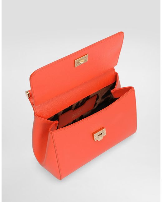 Dolce & Gabbana Red Borsa A Mano