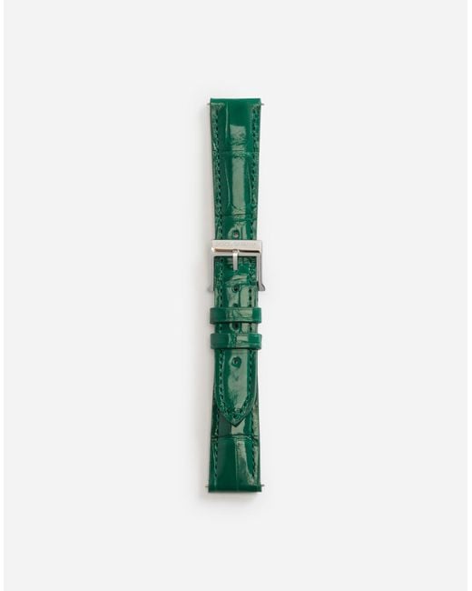 Alligator Strap With Buckle And Hook Dolce & Gabbana en coloris Green