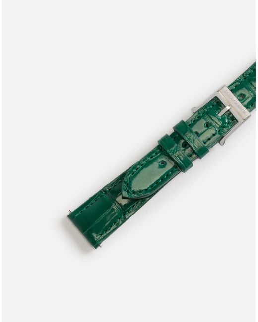 Alligator Strap With Buckle And Hook Dolce & Gabbana en coloris Green