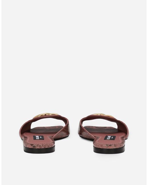 Dolce & Gabbana Brown Pantolette Aus Pythonleder